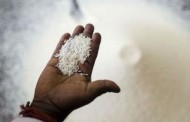 Rise in Zinc levels could help, fight Malnutrition: scientists