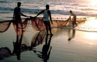 16 Indian fishermen impounded by Srilankan navy