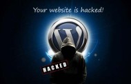 1.5 million WordPress Pages attacked by hackers