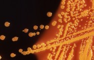 Ultra-tough antibiotic to fight superbugs